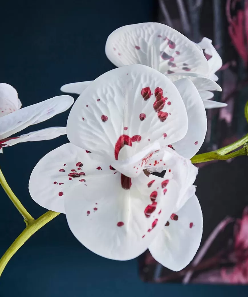 Joe Browns Artificial Plants | Floral Décor*Blooming Marvellous Speckled Orchid