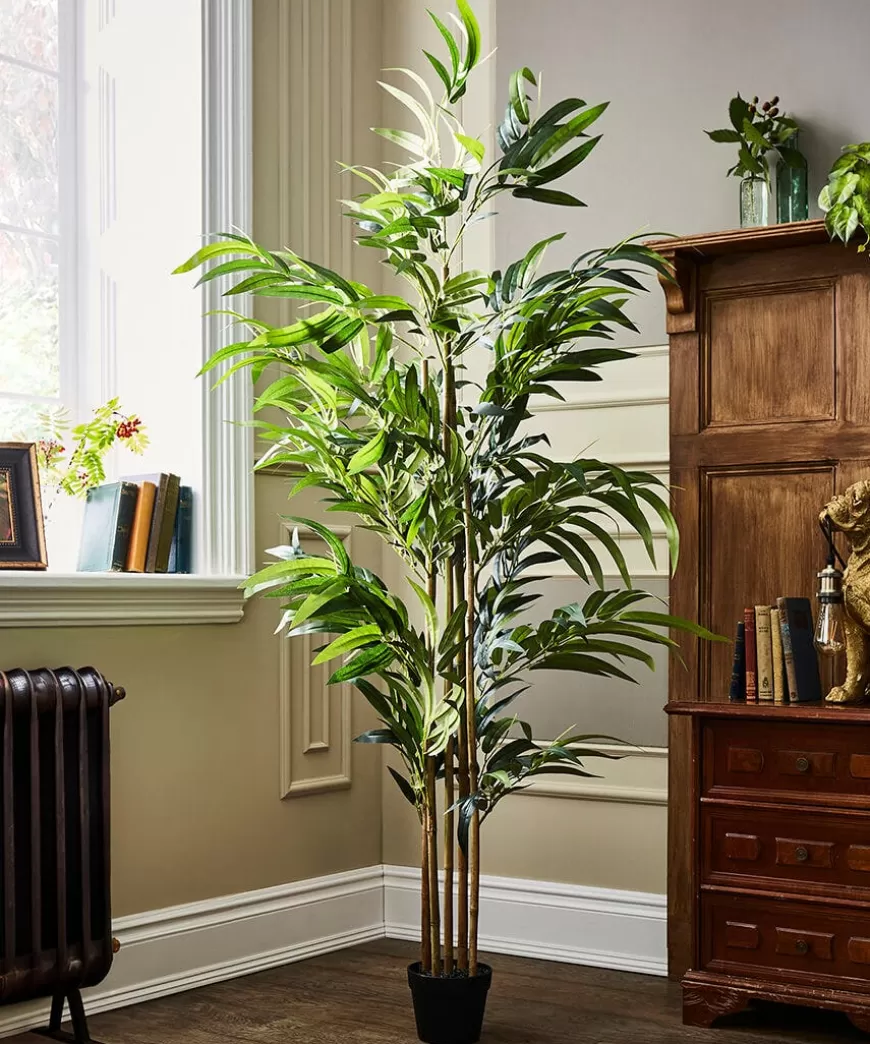 Joe Browns Artificial Plants | Floral Décor*Brilliant Bamboo Plant