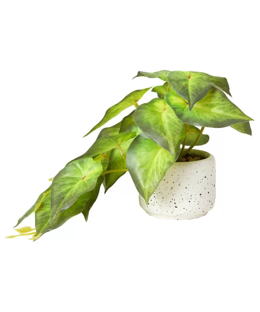 Joe Browns Artificial Plants | Floral Décor*Luscious ery In Speckled Ceramic Pots